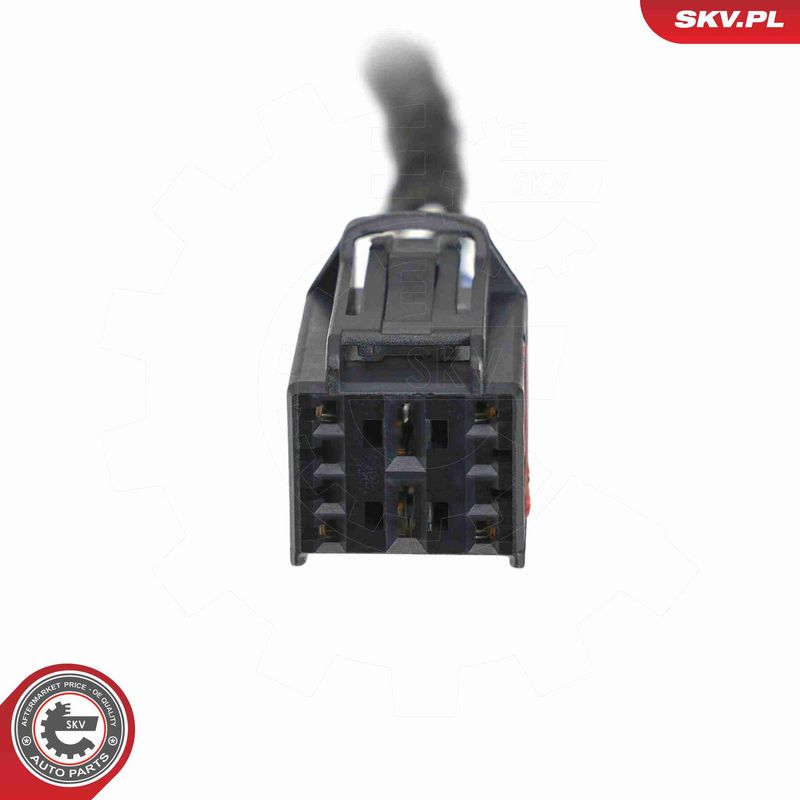 ESEN SKV 52SKV889 Electric Motor, tailgate