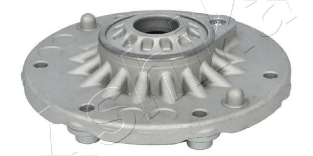 SMA0257_1.JPG
