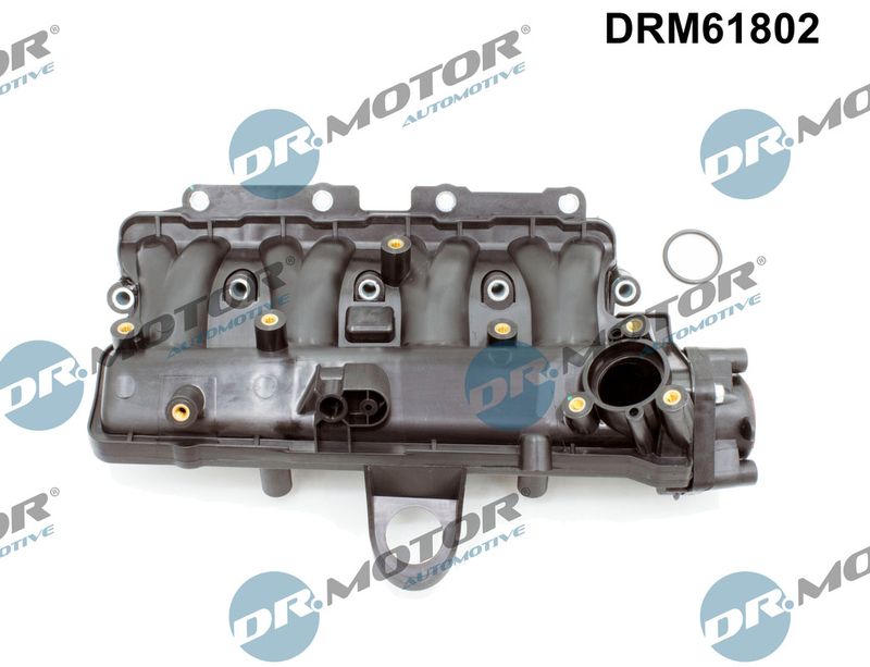 Модуль впускної труби, Dr.Motor DRM61802