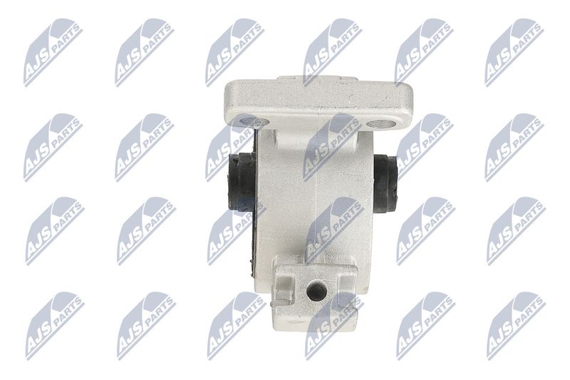 Paigutus, Mootor, NTY ZPS-KA-318