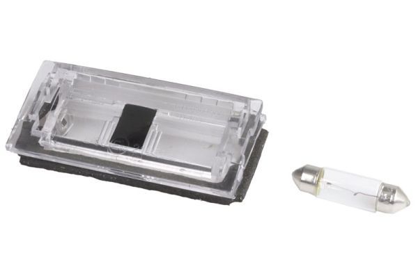 BLIC 5402-003-07-905 Licence Plate Light
