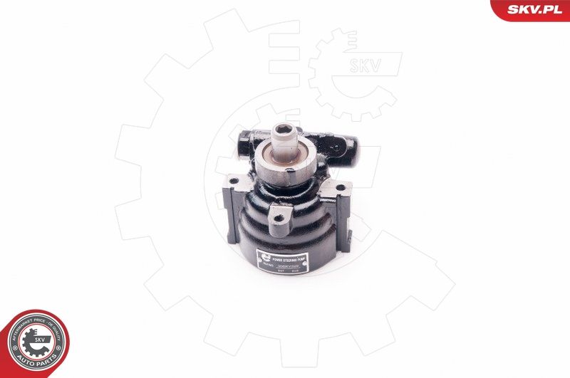 ESEN SKV 10SKV229 Hydraulic Pump, steering