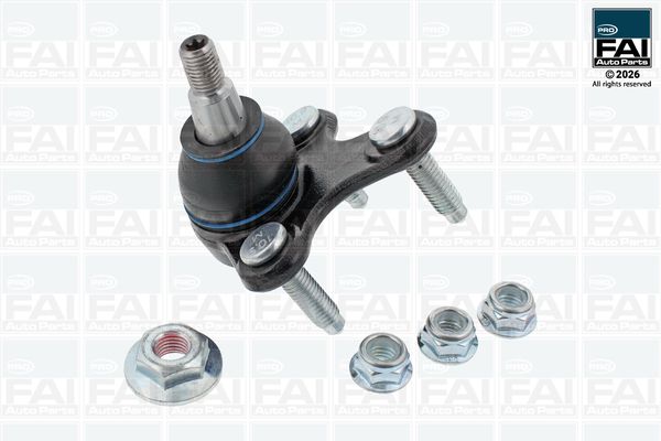FAI AutoParts Šarnyras / girgždukas