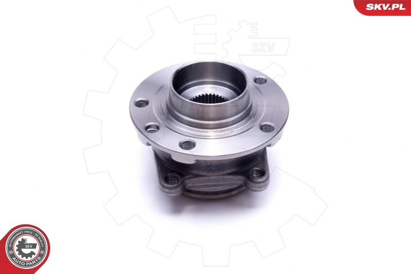 ESEN SKV 29SKV491 Wheel Bearing Kit