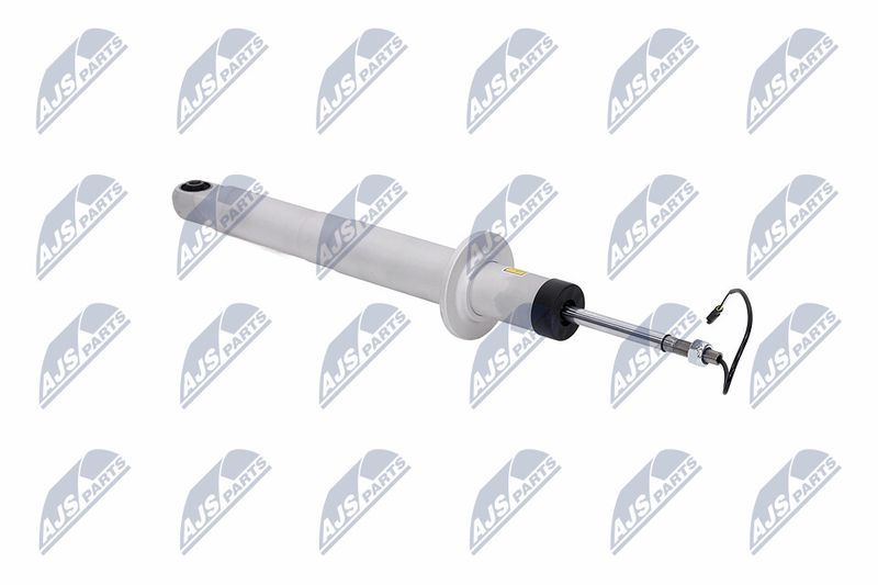 Amort, NTY A-MA-003