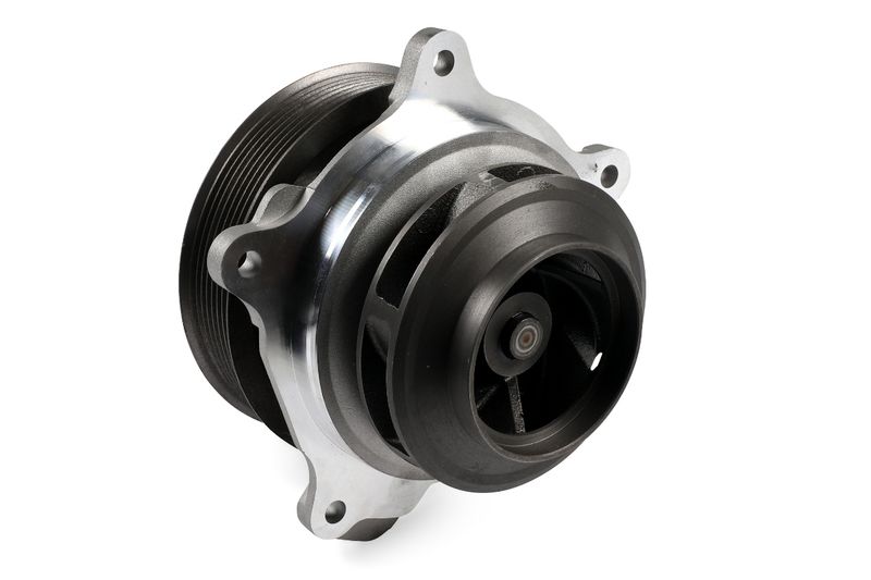 P9811 (1).JPG