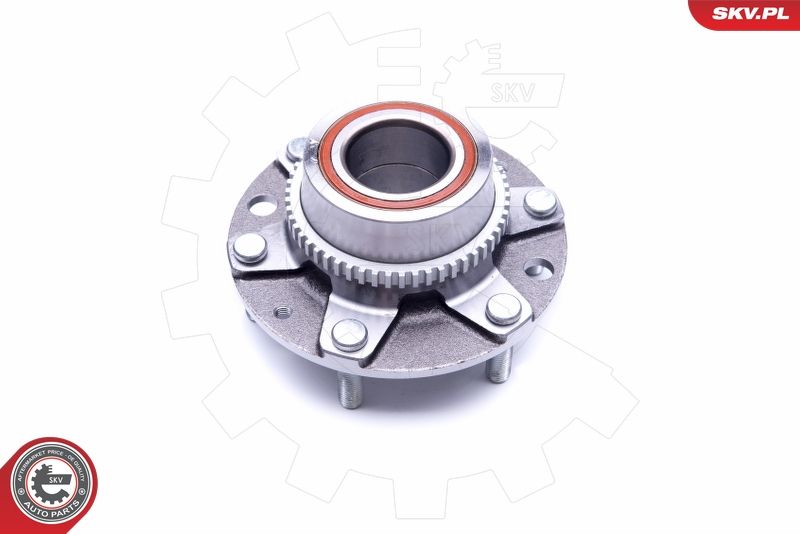 ESEN SKV 29SKV186 Wheel Bearing Kit