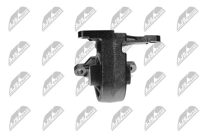 Paigutus, Mootor, NTY ZPS-CH-087