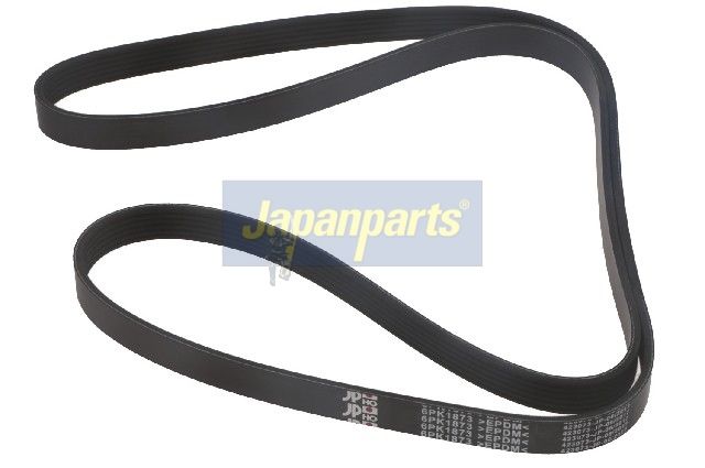Correa trapecial poli V