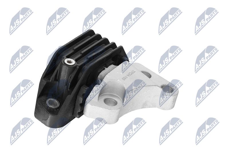 Paigutus, Mootor, NTY ZPS-CH-165