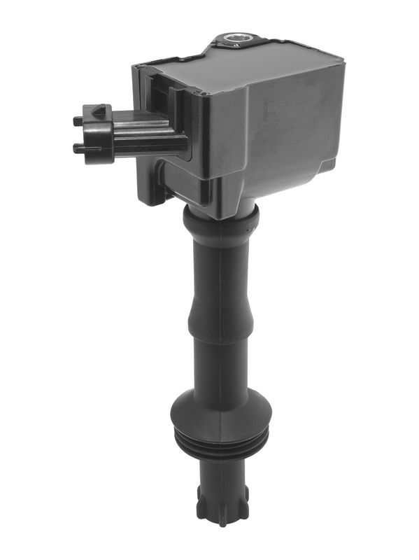 ZS626_01.JPG