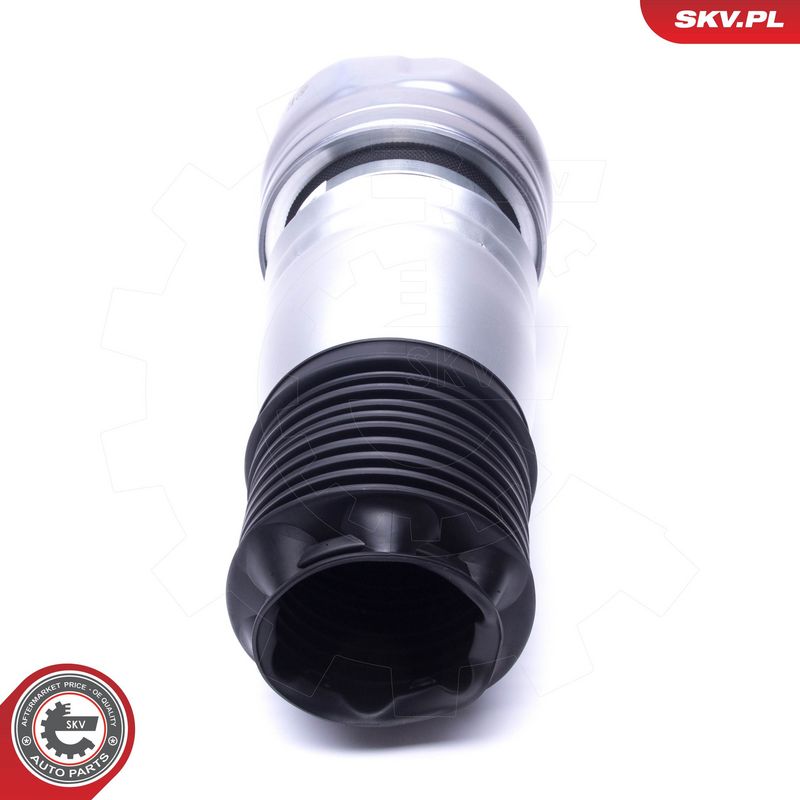 Õhkvedru, vedrustus, ESEN...