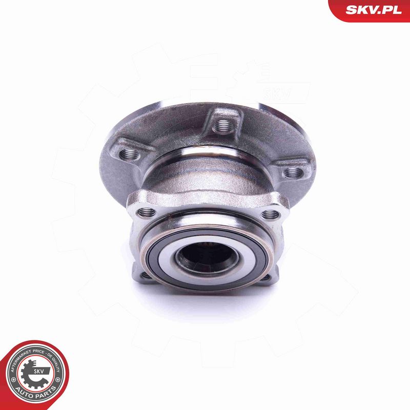 ESEN SKV 29SKV315 Wheel Bearing Kit