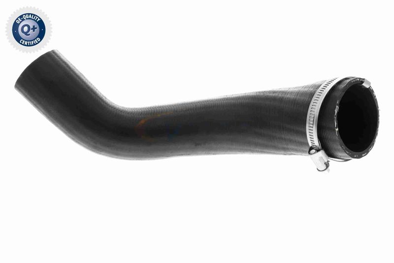 VAICO V25-1161 Charge Air Hose