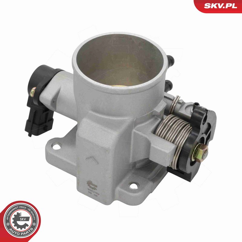 ESEN SKV 12SKV169 Throttle Body