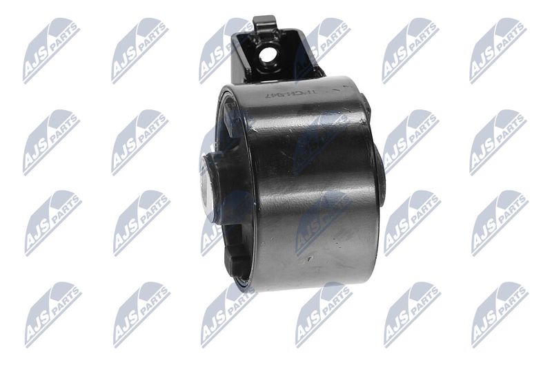 Paigutus, Mootor, NTY ZPS-CH-047