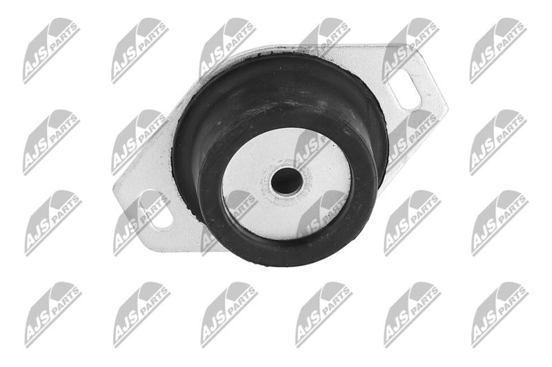 Paigutus, Mootor, NTY ZPS-PE-009