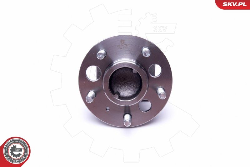 ESEN SKV 29SKV377 Wheel Bearing Kit