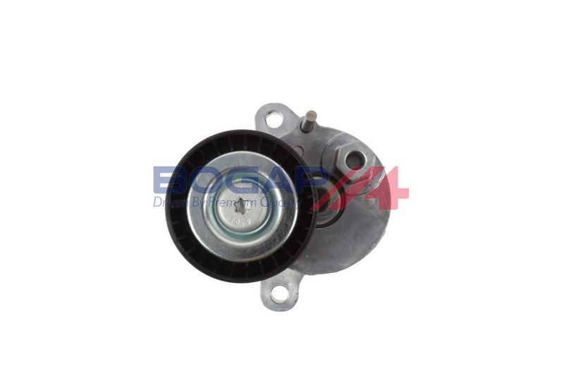 Tensor para Correa Poly V BOGAP C1317123 - 2