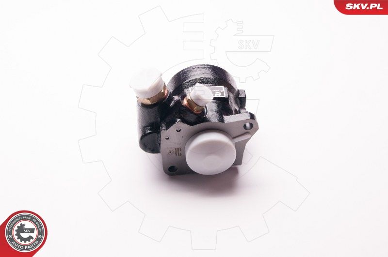 ESEN SKV 1SKV0003 Hydraulic Pump, steering