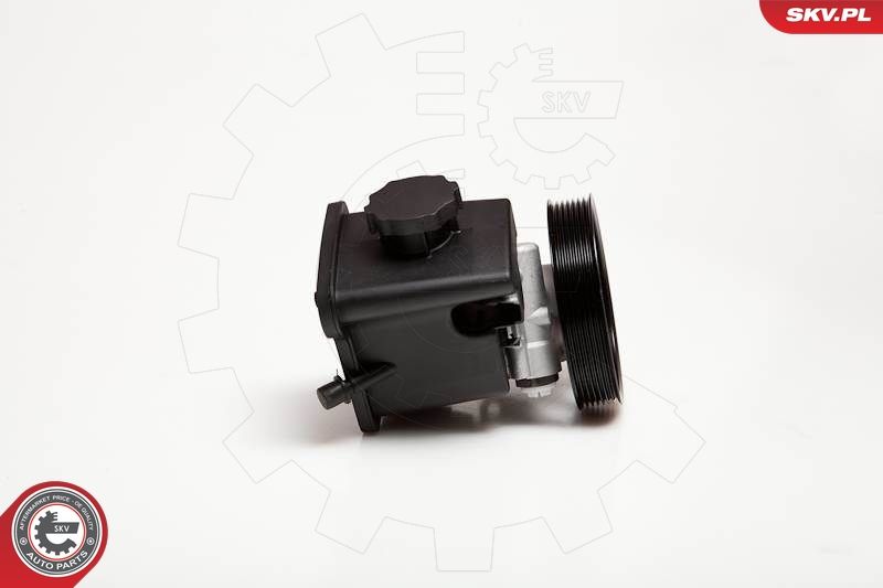 ESEN SKV 10SKV029 Hydraulic Pump, steering