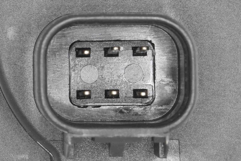 V51-81-0006_03.JPG