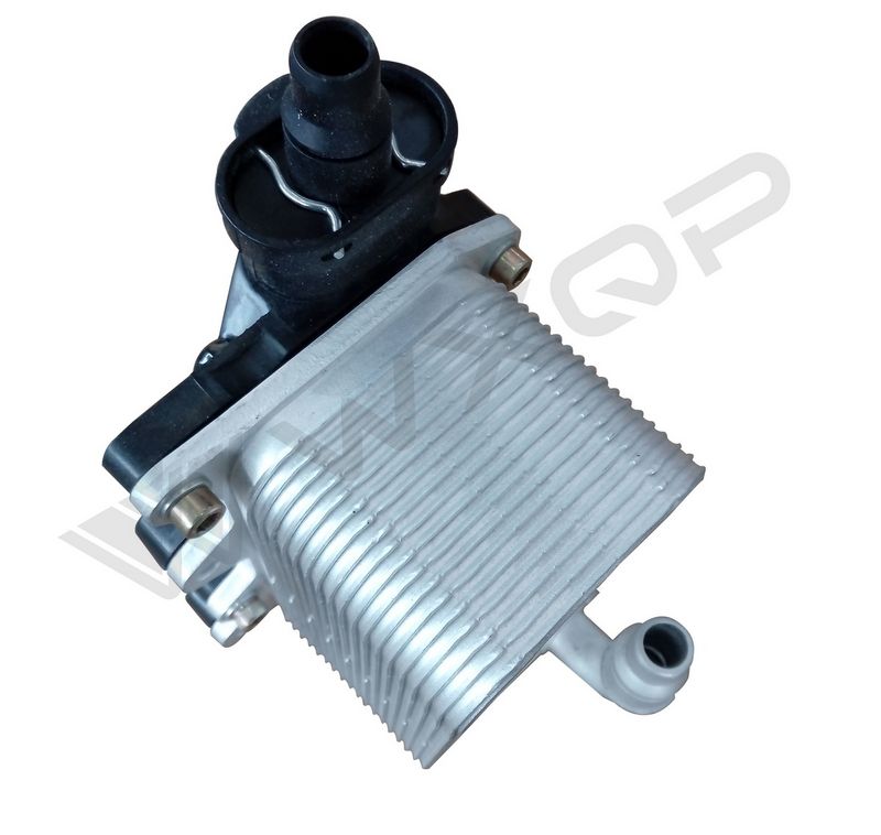 WXQP 211097 Oil Cooler, Automatic Transmission