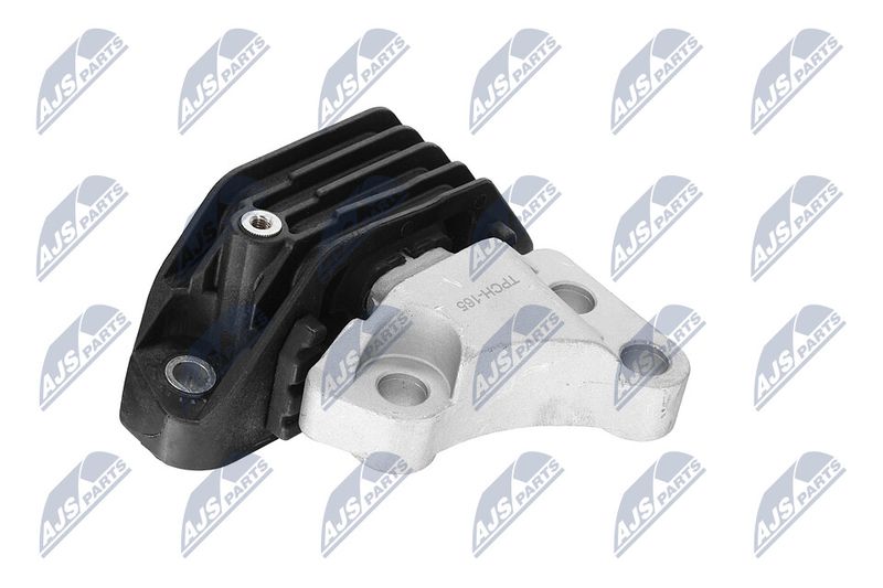 Paigutus, Mootor, NTY ZPS-CH-165