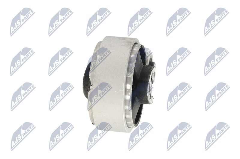 Paigutus, Mootor, NTY ZPS-BM-039