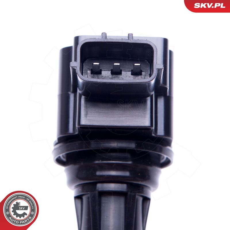 Süütepool, ESEN SKV 03SKV317