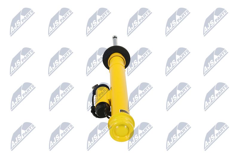 Amort, NTY A-CH-131