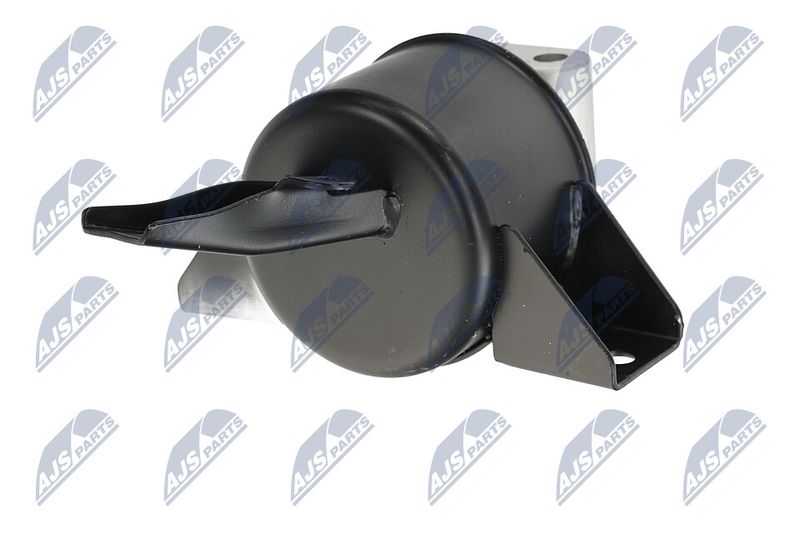 Paigutus, Mootor, NTY ZPS-DW-010