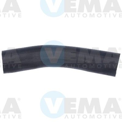 VE55798.JPG