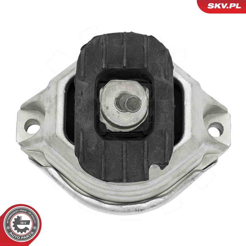 Paigutus, Mootor, ESEN SKV 75SKV286