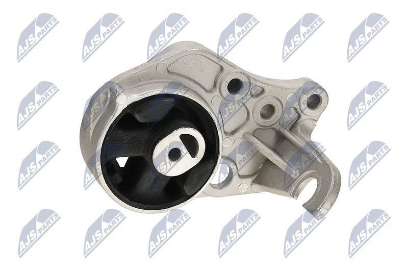 Paigutus, Mootor, NTY ZPS-CH-113