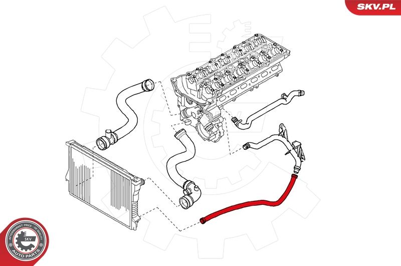 Шланг радіатора, Skv Germany 24SKV203