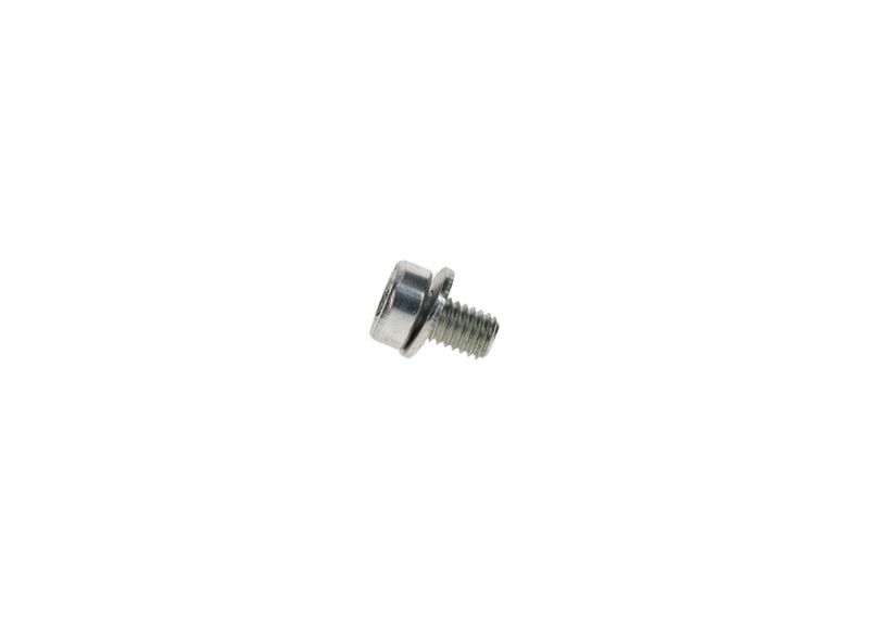 BOSCH F002D13663 Screw