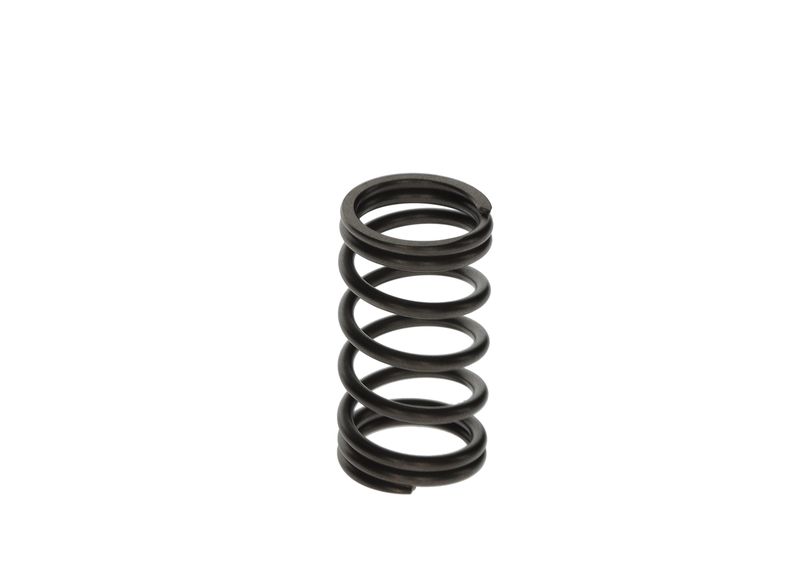 BOSCH F 00N 200 141 Spring
