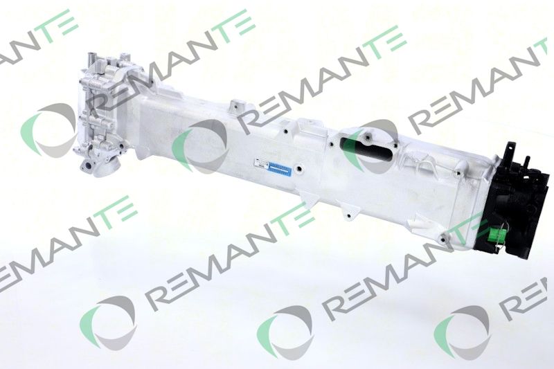 REMANTE 010-001-000019R - EGR Module