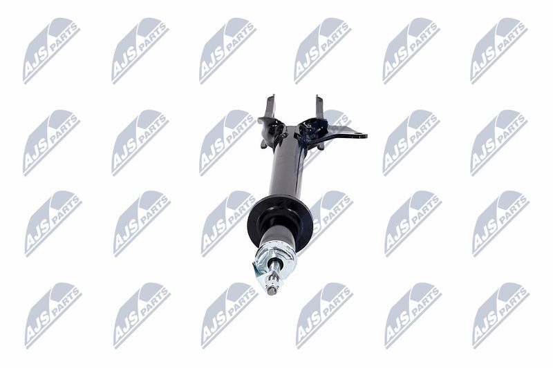 Amort, NTY A-CH-081