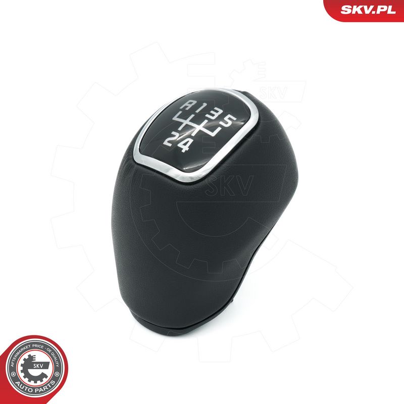 Käigukanginupp, ESEN SKV...