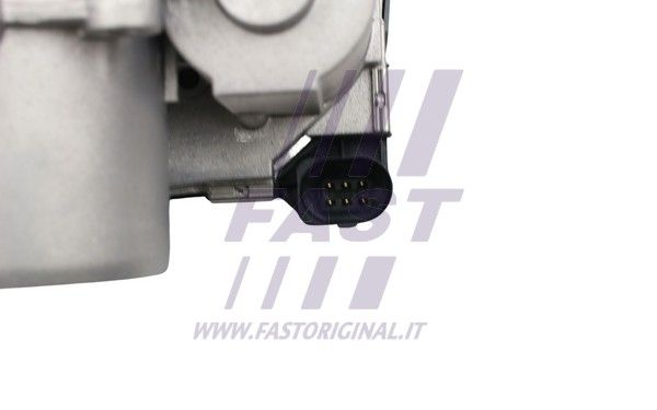 FT50415_4_1.JPG
