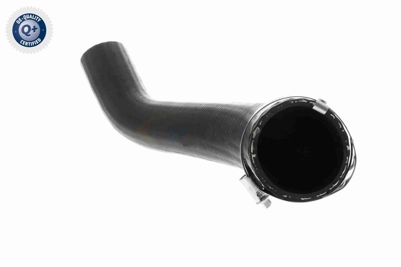 VAICO V25-1161 Charge Air Hose
