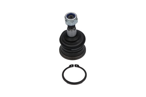 Kavo Parts Šarnyras / girgždukas