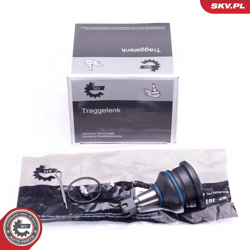 Kande-, juhtliigend, ESEN...