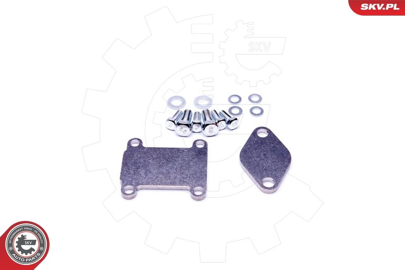 ESEN SKV 14SKV502 Repair Set, EGR valve