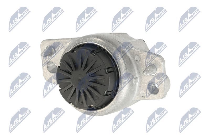 Paigutus, Mootor, NTY ZPS-LR-015