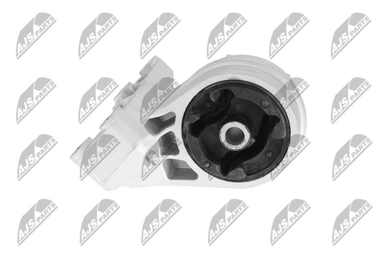 Paigutus, Mootor, NTY ZPS-CH-148