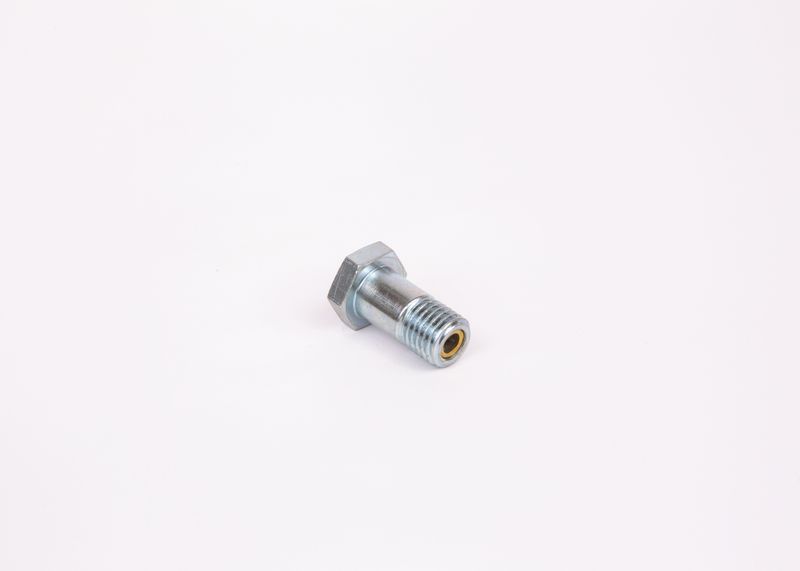 Surub 1 463 456 344 BOSCH