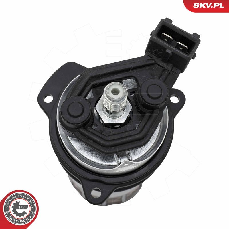 Kütusepump, ESEN SKV 02SKV251